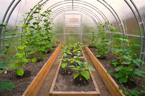 greenhouse roofing materials